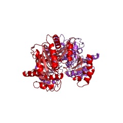 Example Structure of L-arginine-specific L-amino acid ligase EC#: 6.3.2.48