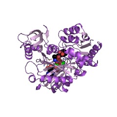 Example Structure of L-alanine-L-anticapsin ligase EC#: 6.3.2.49