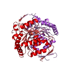 Example Structure of phosphopantothenate-cysteine ligase (CTP) EC#: 6.3.2.5