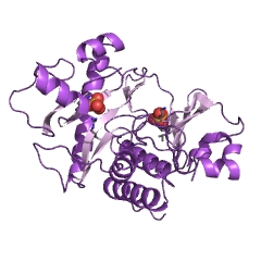 Example Structure of phosphoribosylaminoimidazolesuccinocarboxamide synthase EC#: 6.3.2.6