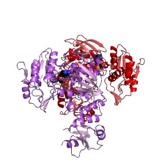 Example Structure of UDP-N-acetylmuramoyl-L-alanyl-D-glutamate-L-lysine ligase EC#: 6.3.2.7