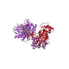 Example Structure of UDP-N-acetylmuramate-L-alanine ligase EC#: 6.3.2.8