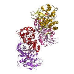 Example Structure of phosphoribosylformylglycinamidine cyclo-ligase EC#: 6.3.3.1