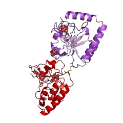 Example Structure of 5-formyltetrahydrofolate cyclo-ligase EC#: 6.3.3.2