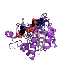 Example Structure of dethiobiotin synthase EC#: 6.3.3.3