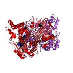 Example Structure of (carboxyethyl)arginine beta-lactam-synthase EC#: 6.3.3.4