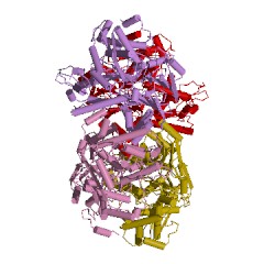 Example Structure of carbapenam-3-carboxylate synthase EC#: 6.3.3.6