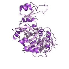 Example Structure of phosphoribosylamine-glycine ligase EC#: 6.3.4.13