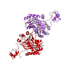 Example Structure of biotin carboxylase EC#: 6.3.4.14