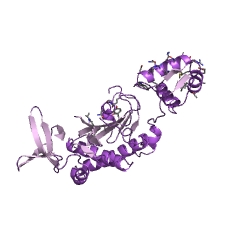 Example Structure of biotin-[biotin carboxyl-carrier protein] ligase EC#: 6.3.4.15