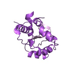 Example Structure of carbamoyl-phosphate synthase (ammonia) EC#: 6.3.4.16