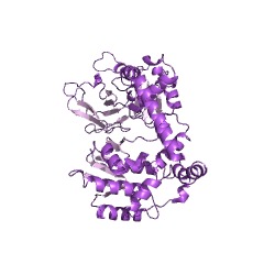 उदाहरण tRNAIle-lysidine synthase EC #: 6.3.4.19 की संरचना