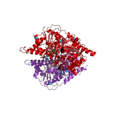 Example Structure of CTP synthase (glutamine hydrolysing) EC#: 6.3.4.2