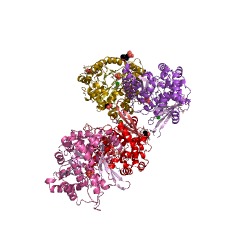Example Structure of nicotinate phosphoribosyltransferase EC#: 6.3.4.21