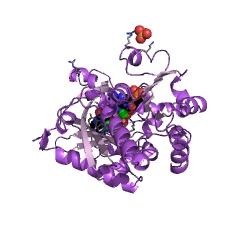 Example Structure of formate-phosphoribosylaminoimidazolecarboxamide ligase EC#: 6.3.4.23