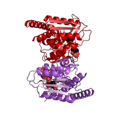 Example Structure of formate-tetrahydrofolate ligase EC#: 6.3.4.3