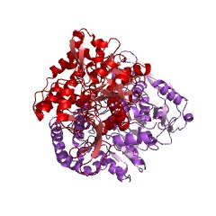 Example Structure of adenylosuccinate synthase EC#: 6.3.4.4