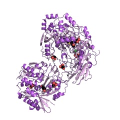 Example Structure of urea carboxylase EC#: 6.3.4.6