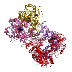 Example Structure of GMP synthase (glutamine-hydrolysing) EC#: 6.3.5.2