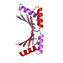 Example Structure of phosphoribosylformylglycinamidine synthase EC#: 6.3.5.3