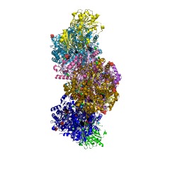 Example Structure of carbamoyl-phosphate synthase (glutamine-hydrolysing) EC#: 6.3.5.5