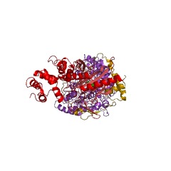 Contoh Struktur sintase glutaminil-tRNA (glutamin-hidrolisis) EC #: 6.3.5.7