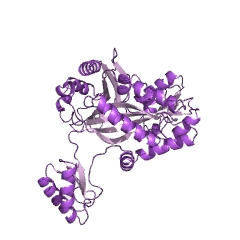 Exemple de structure de pyruvate carboxylase EC #: 6.4.1.1