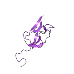 Example Structure of acetyl-CoA carboxylase EC#: 6.4.1.2