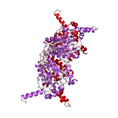 Exemple de structure de propionyl-CoA carboxylase EC #: 6.4.1.3