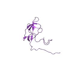 Beispielstruktur der Methylcrotonoyl-CoA-Carboxylase EC #: 6.4.1.4