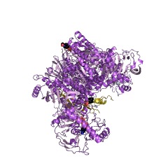 Example Structure of acetophenone carboxylase EC#: 6.4.1.8