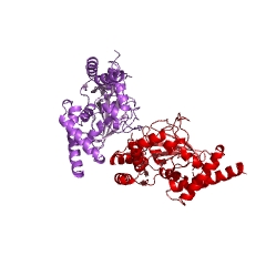 Esempio di struttura della DNA ligasi (NAD +) N. CE: 6.5.1.2