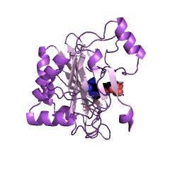 Exemple de structure de l'ARN ligase (ATP) EC #: 6.5.1.3