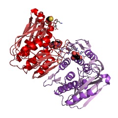 מבנה דוגמה של ציקלוז RNA 3'-terminal-phosphate (ATP) EC #: 6.5.1.4